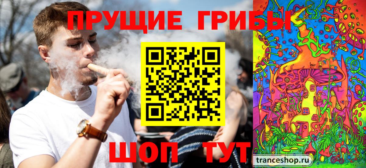 Курганинск  Псилоцибиновые грибы мухоморы  Псилоцибиновые грибы Psilocybine cubensis  Вход с VPN 